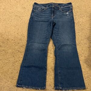 American Eagle Outfitters Dark Blue Flare Jeans